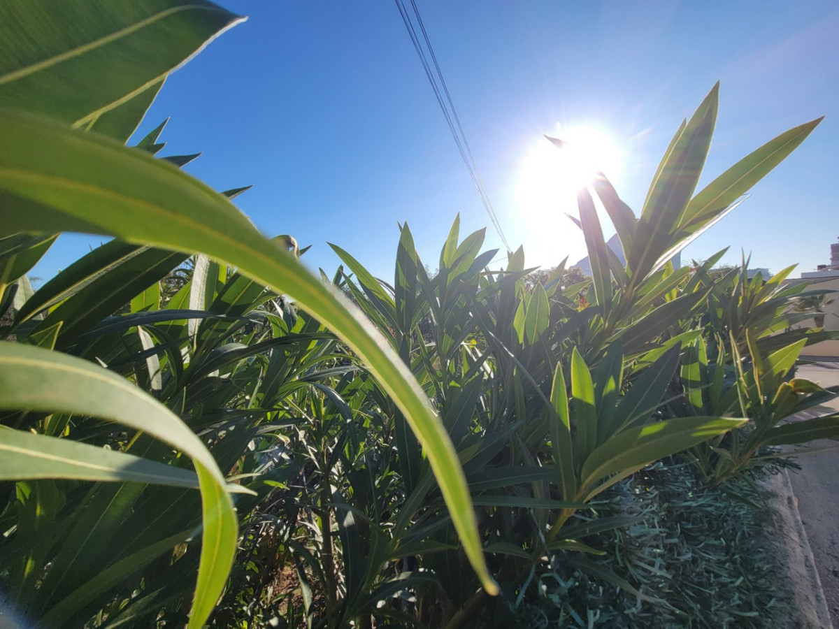 Se vende Terreno Rustico  en Costa Blanca, Alicante, España