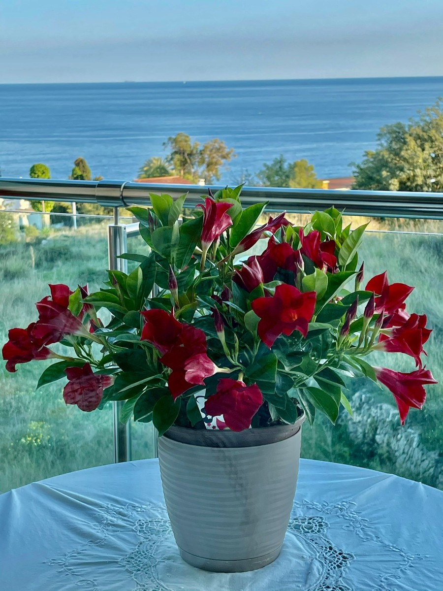 Se vende Apartamento Planta Media de 2 dormitorios en Costa Blanca, Alicante, España