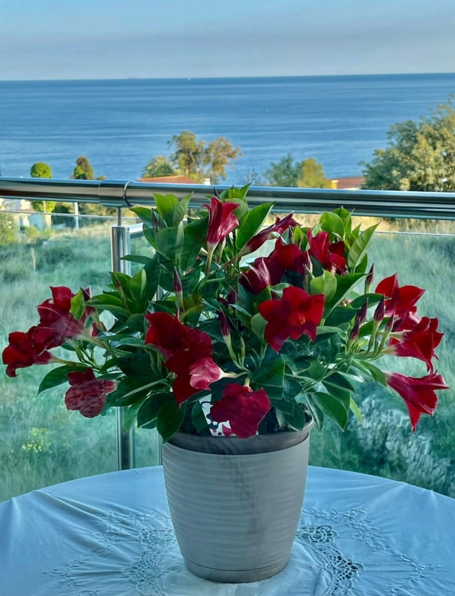 Se vende Apartamento Planta Media de 2 dormitorios en Costa Blanca, Alicante, España