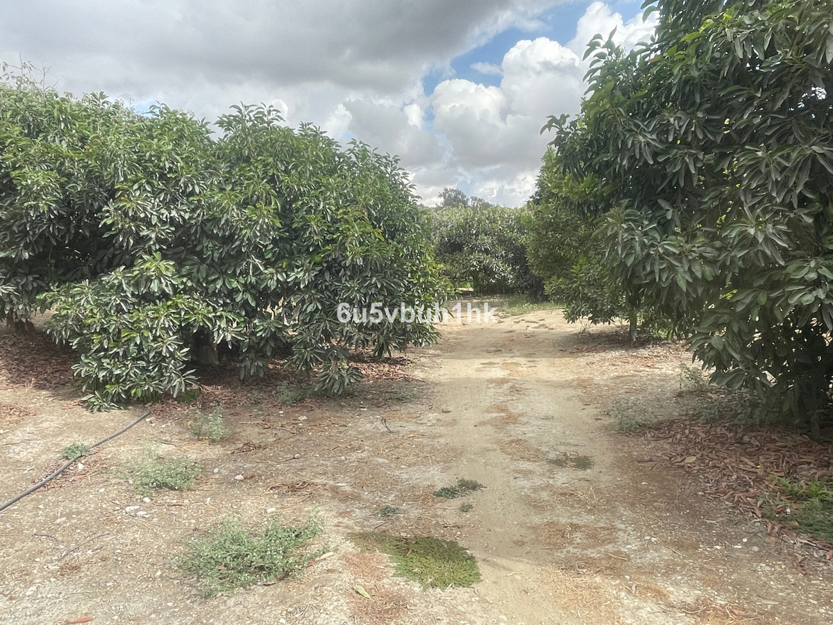 2 Bed Plots for sale in Coín Costa Del Sol, Málaga, Spain