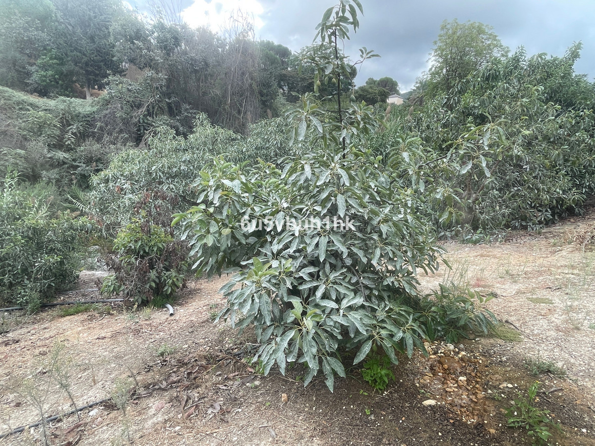 2 Bed Plots for sale in Coín Costa Del Sol, Málaga, Spain