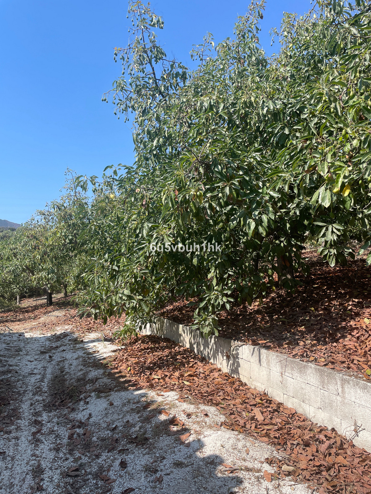 2 Bed Plots for sale in Coín Costa Del Sol, Málaga, Spain