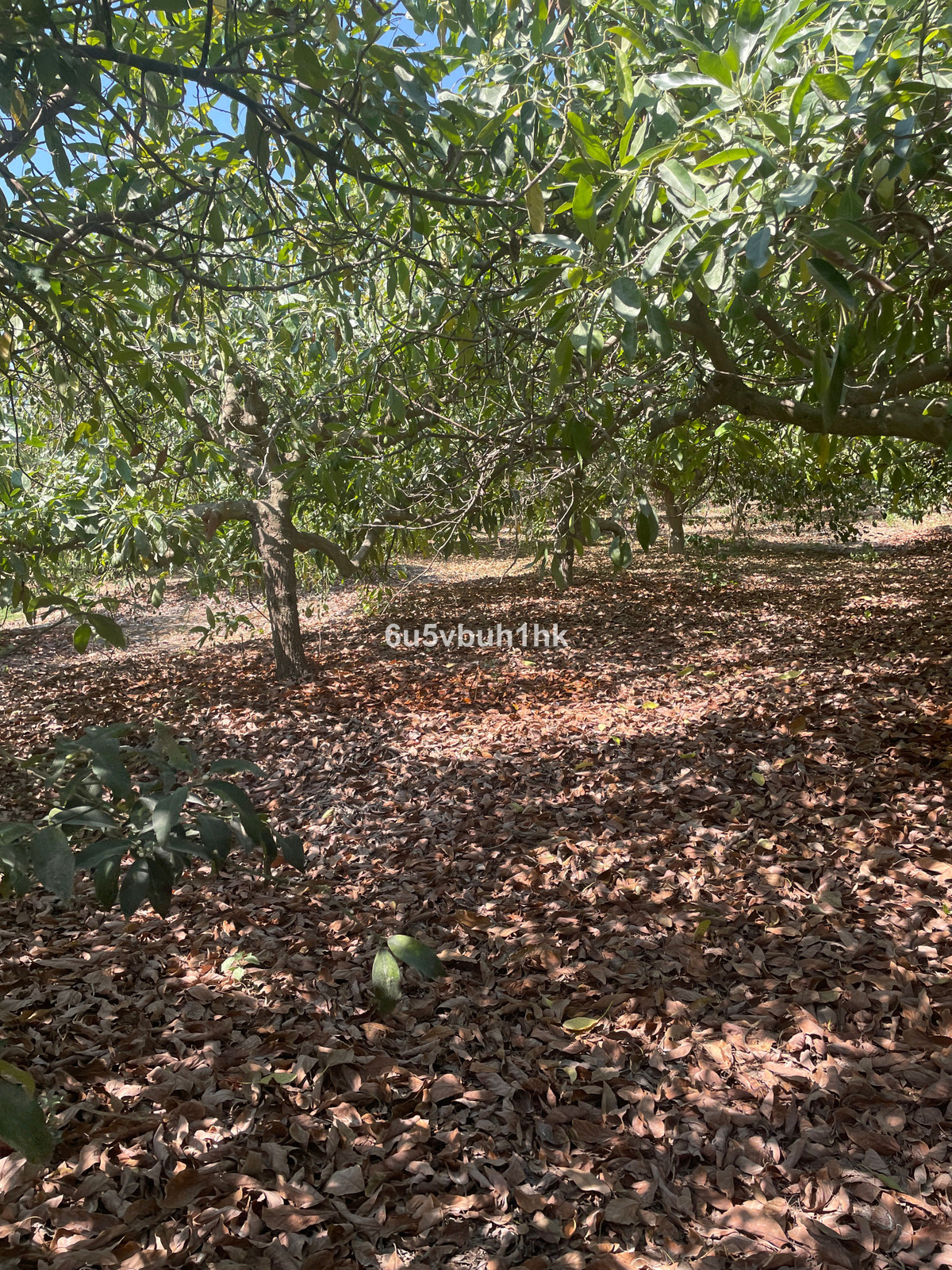 2 Bed Plots for sale in Coín Costa Del Sol, Málaga, Spain