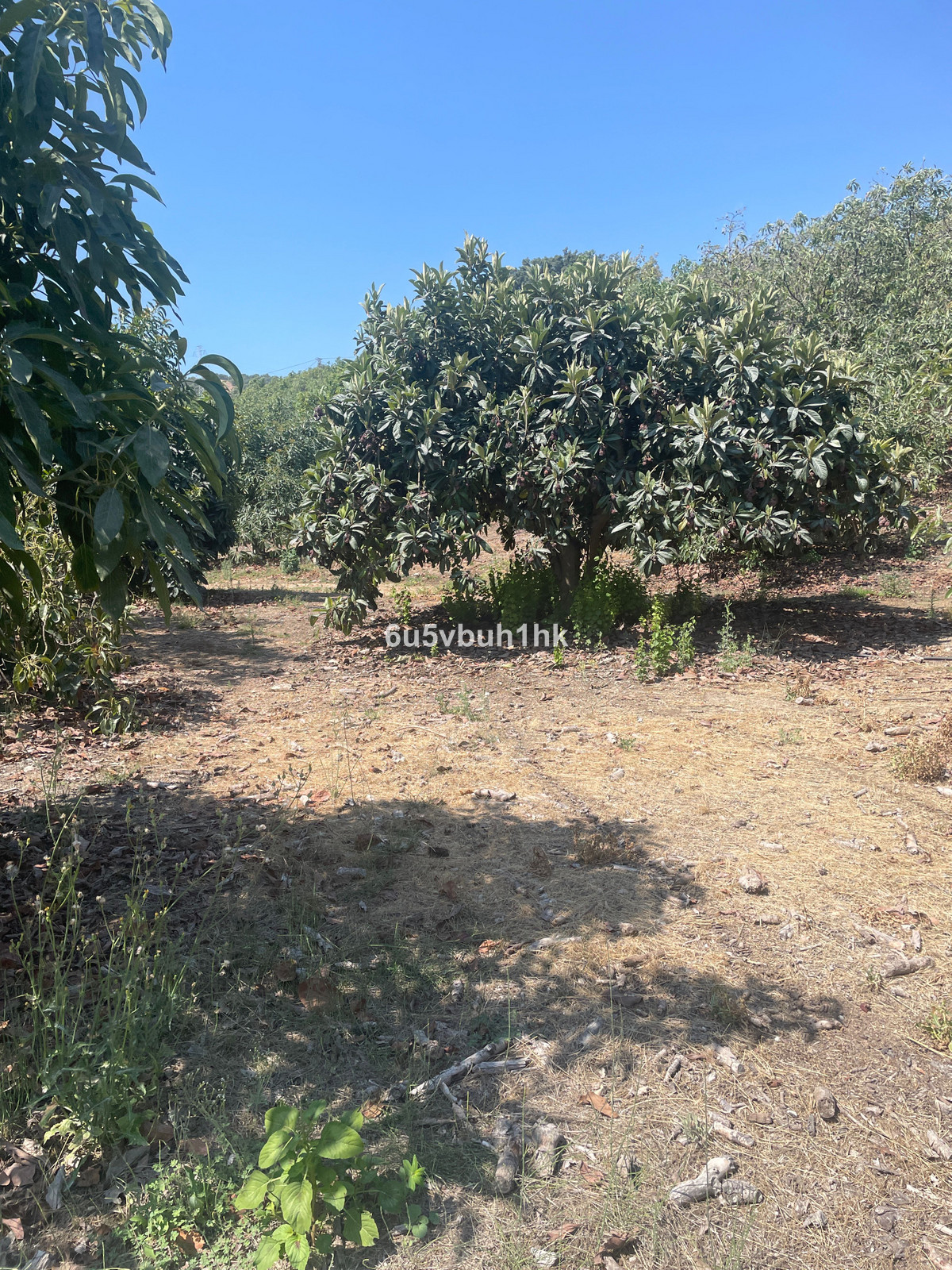 2 Bed Plots for sale in Coín Costa Del Sol, Málaga, Spain