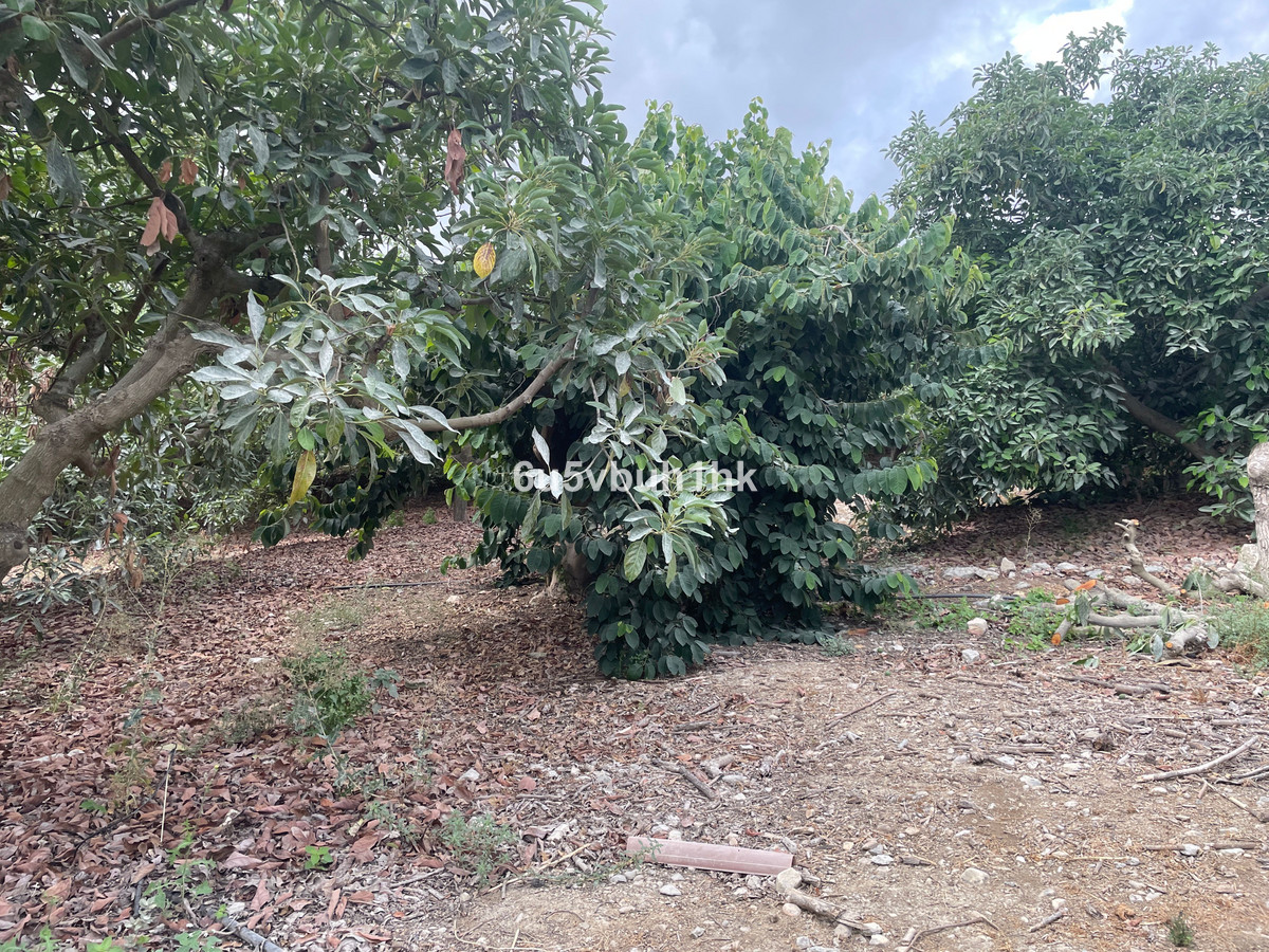 2 Bed Plots for sale in Coín Costa Del Sol, Málaga, Spain