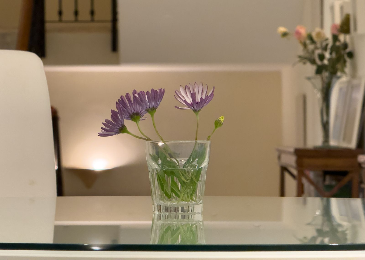 Se vende Villa - Chalet de 7 dormitorios en Costa Del Sol, Málaga, España