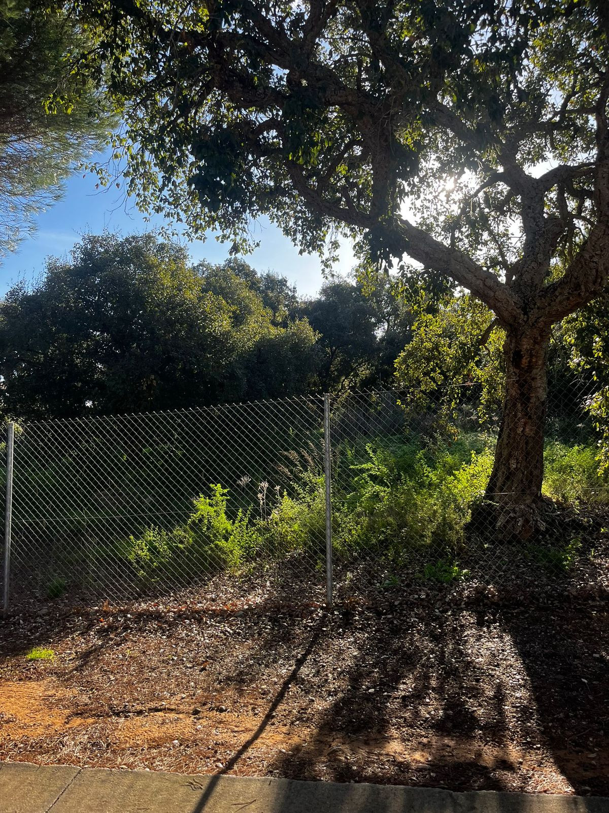 Plots for sale in Sotogrande Alto Costa Del Sol, Cádiz, Spain