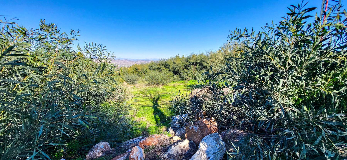 Se vende Terreno Rustico  en Costa Del Sol, Málaga, España