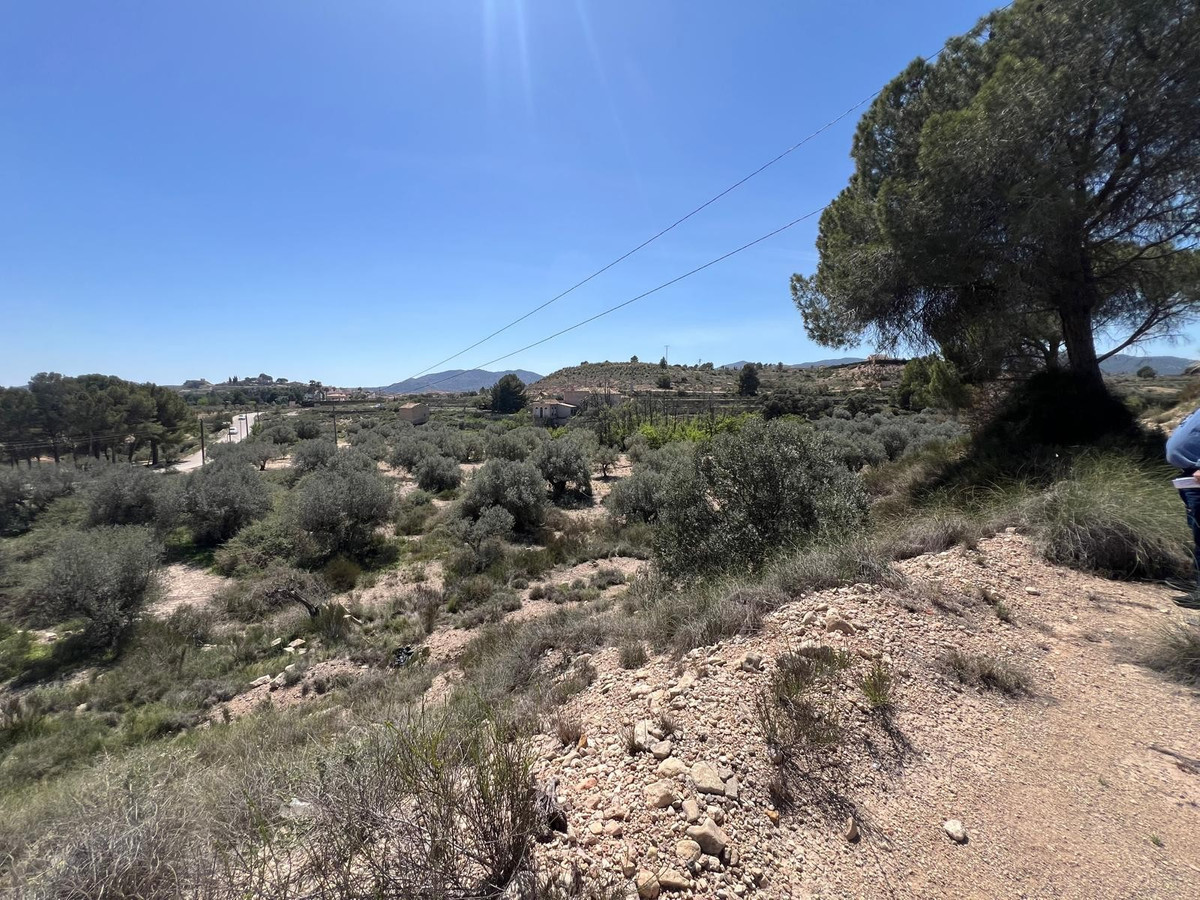Plots for sale in Monóvar Costa Blanca, Alicante, Spain