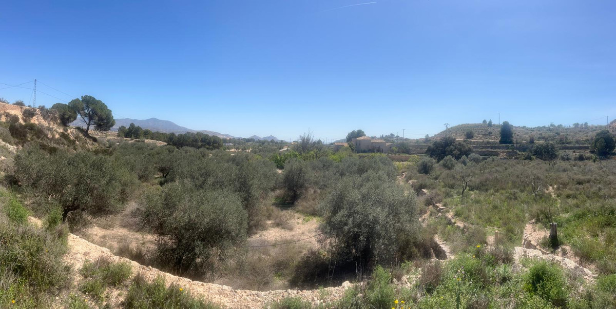 Plots for sale in Monóvar Costa Blanca, Alicante, Spain