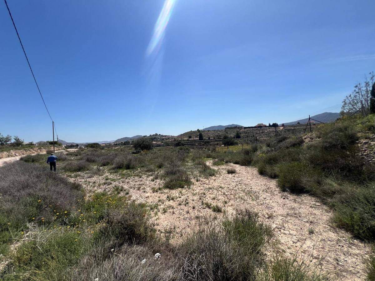 Plots for sale in Monóvar Costa Blanca, Alicante, Spain
