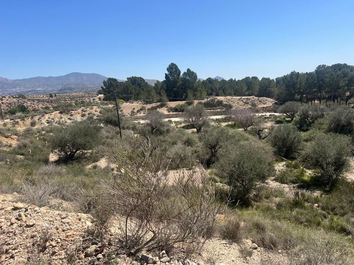 Plots for sale in Monóvar Costa Blanca, Alicante, Spain