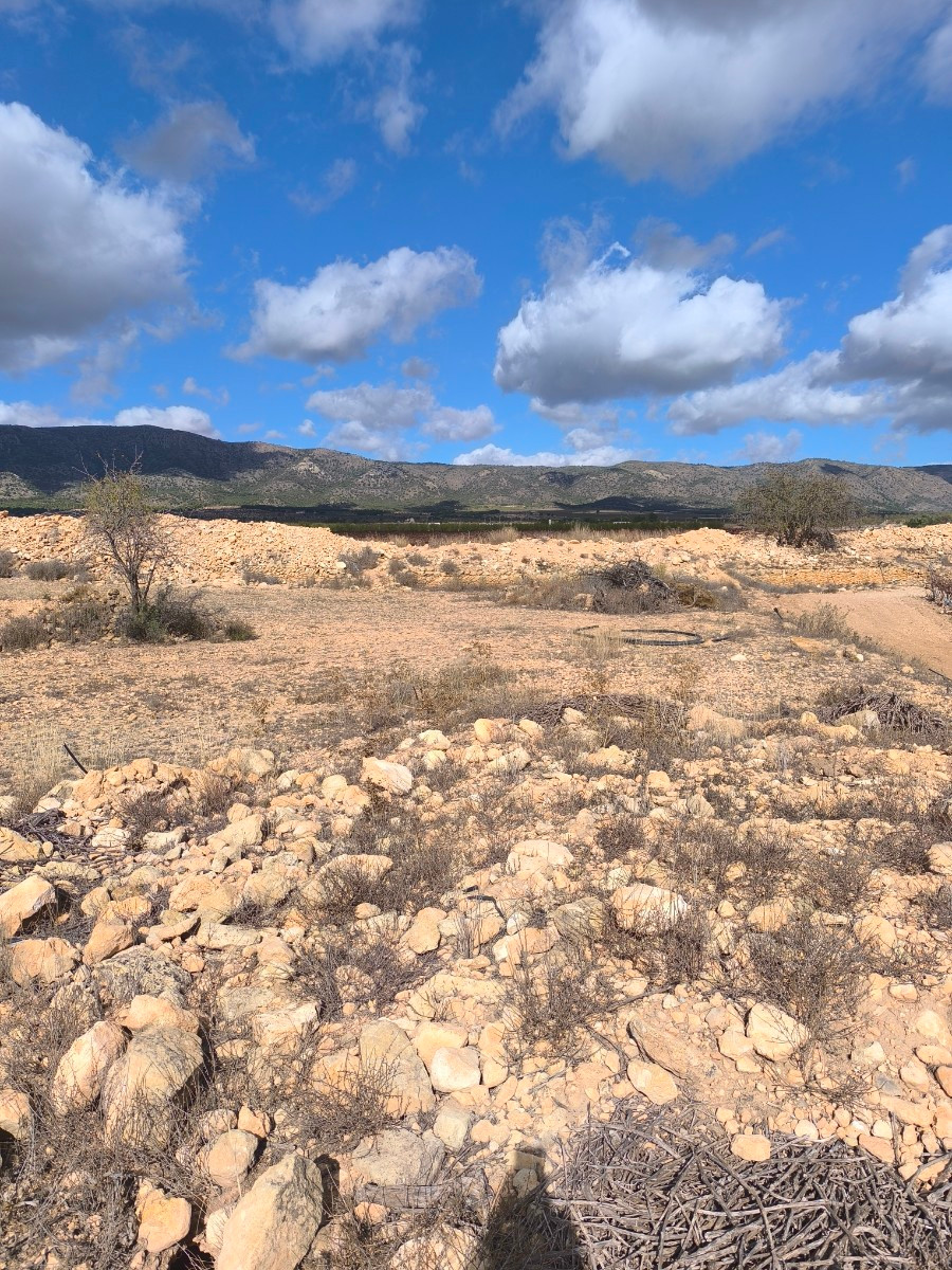 Se vende Terreno Rustico  en Costa Blanca, Alicante, España