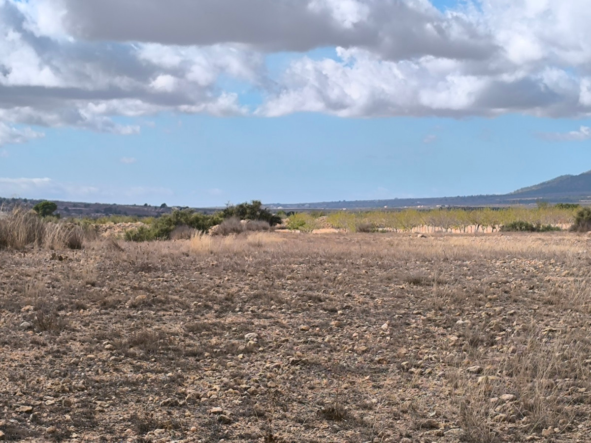 Se vende Terreno Rustico  en Costa Blanca, Alicante, España