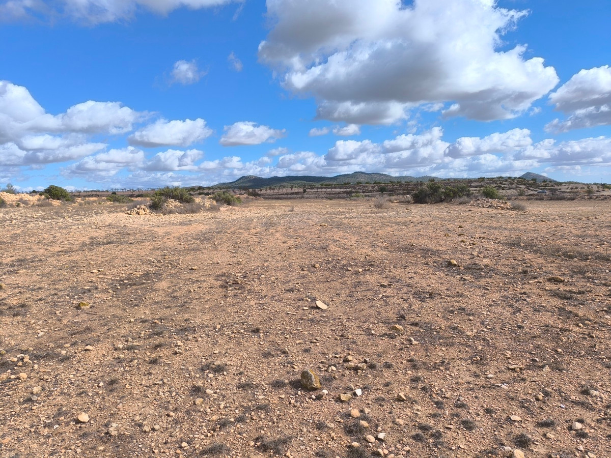 Se vende Terreno Rustico  en Costa Blanca, Alicante, España