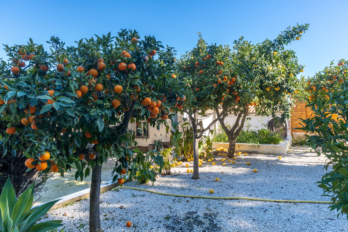 Se vende Finca - Cortijo de 3 dormitorios en Costa Blanca, Alicante, España