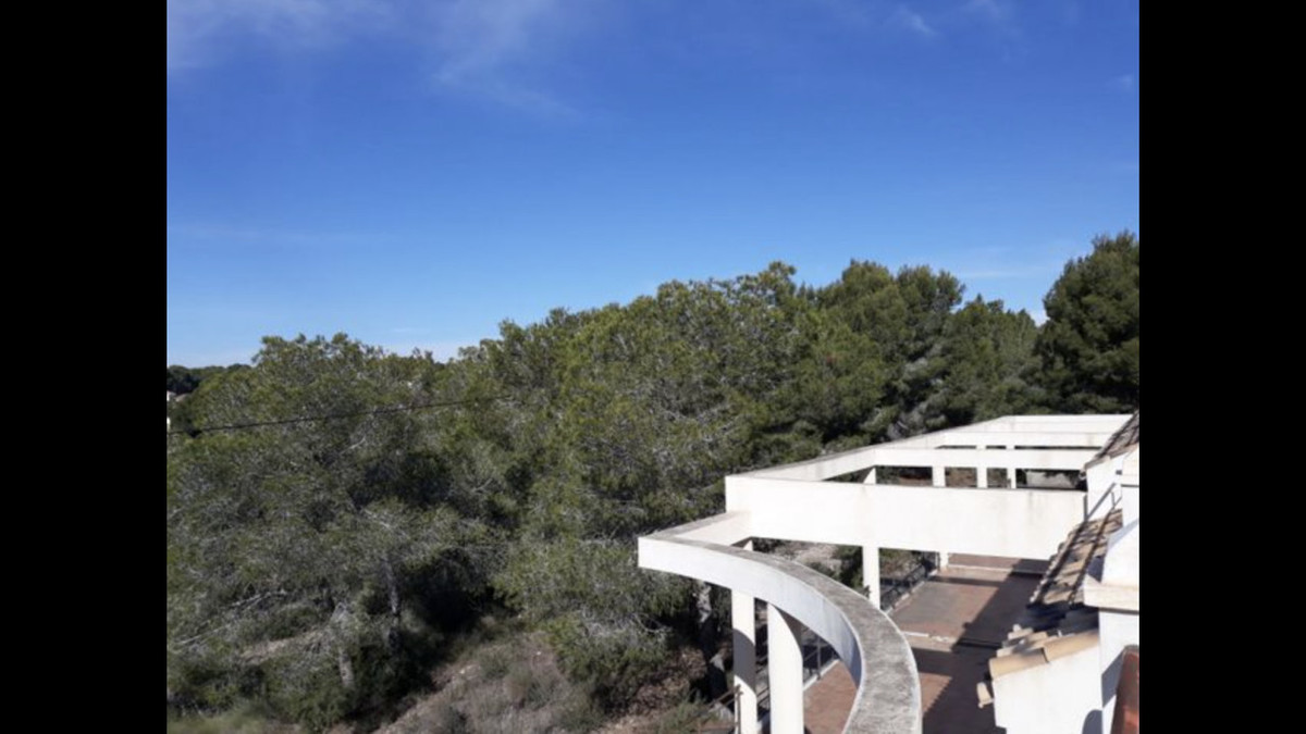 28 Bed Commercial unit for sale in Pinar De Campoverde Costa Blanca, Alicante, Spain