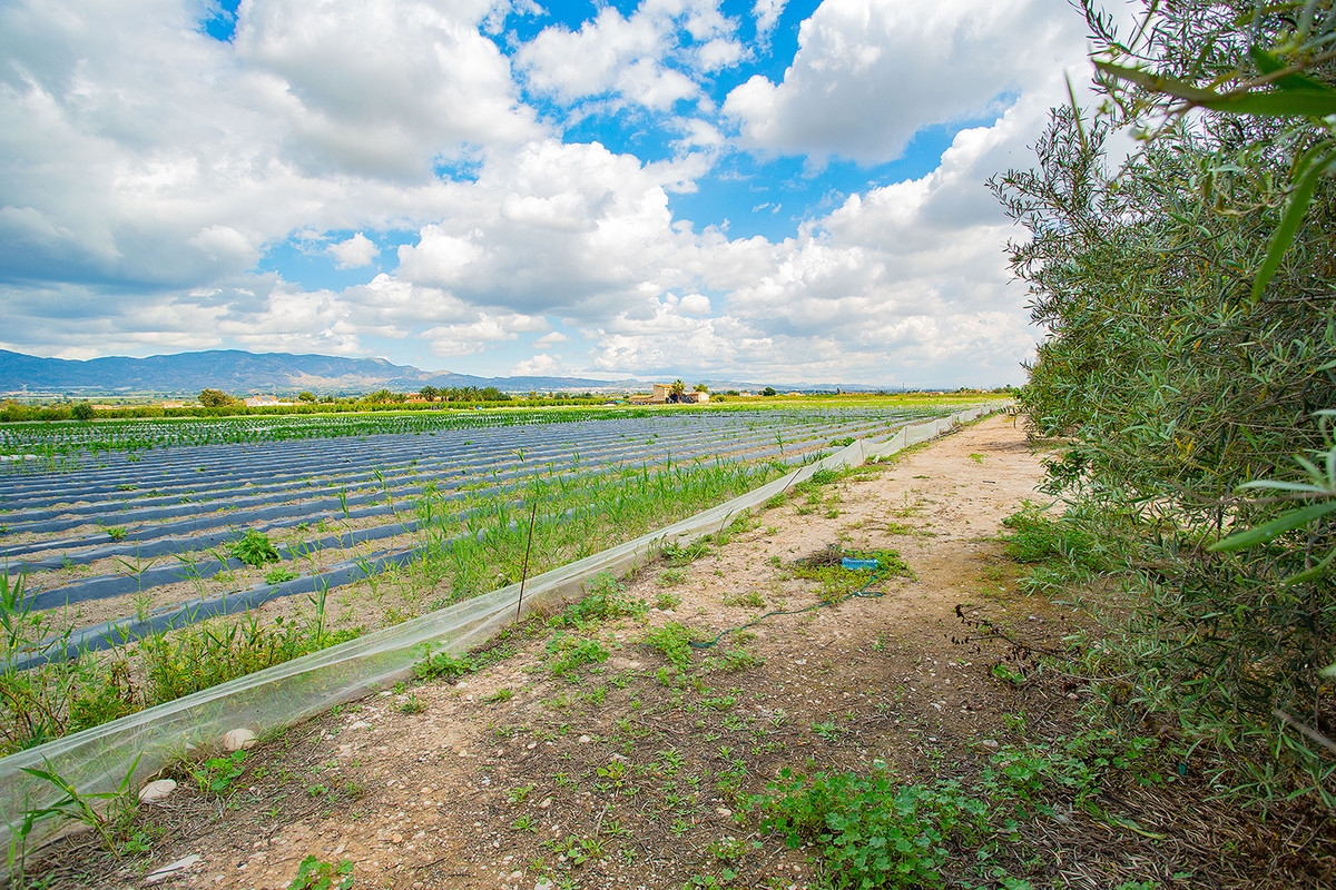 Se vende Finca - Cortijo de 1 dormitorios en Costa Blanca, Alicante, España
