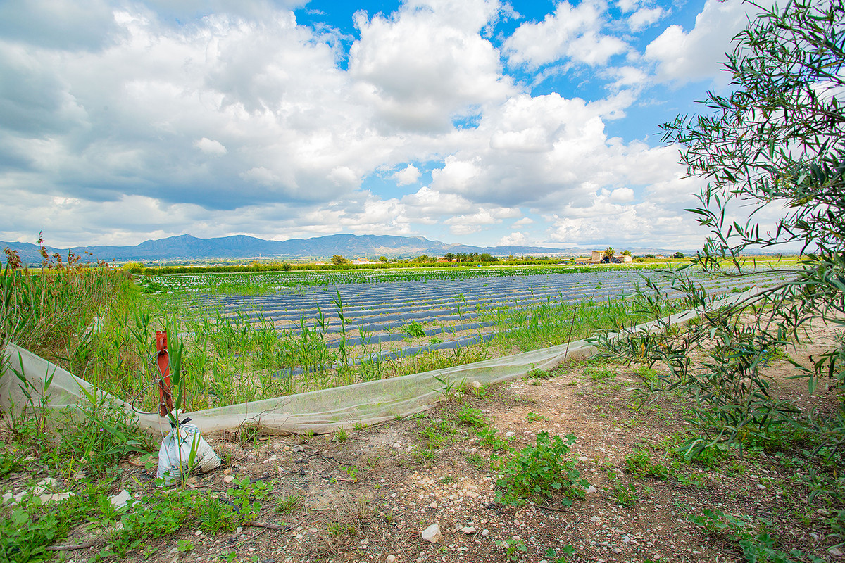 Se vende Finca - Cortijo de 1 dormitorios en Costa Blanca, Alicante, España