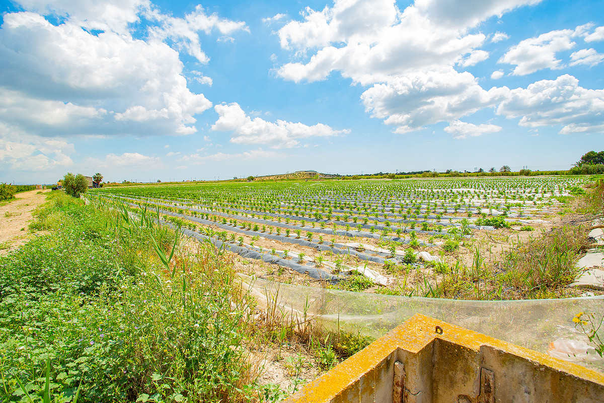 Se vende Finca - Cortijo de 1 dormitorios en Costa Blanca, Alicante, España