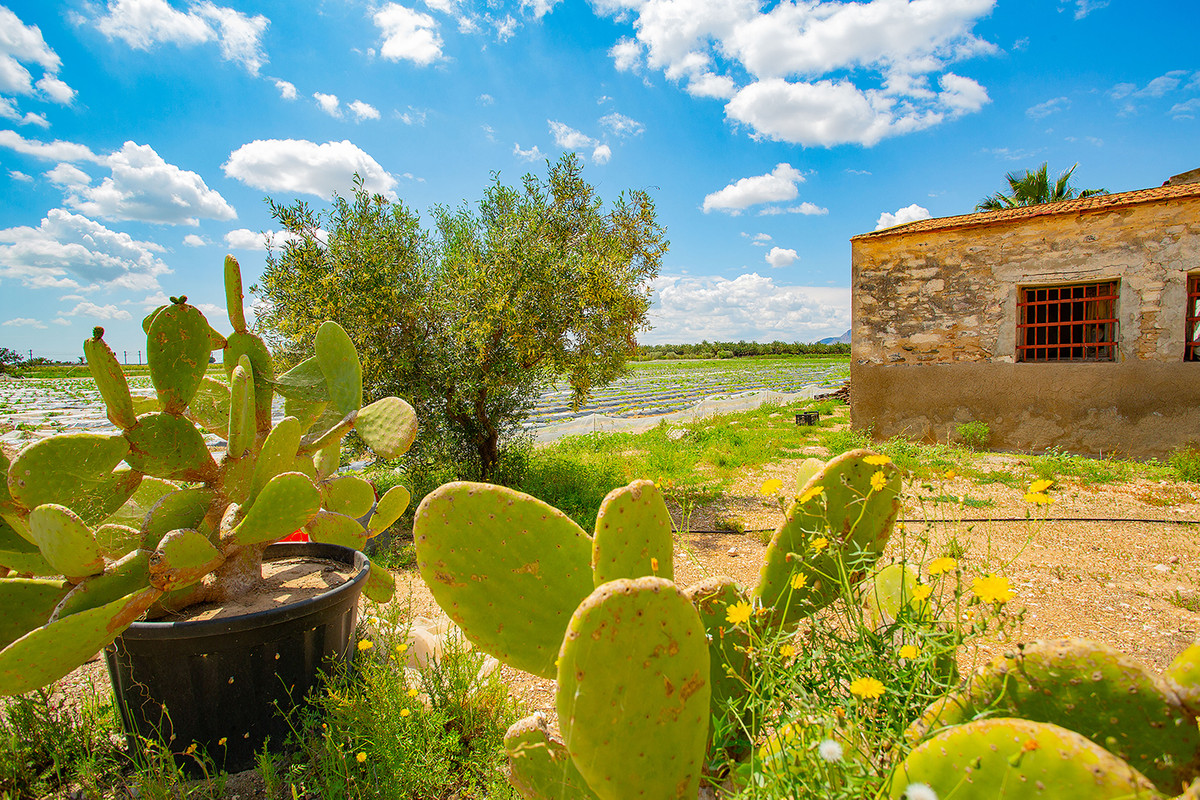 Se vende Finca - Cortijo de 1 dormitorios en Costa Blanca, Alicante, España