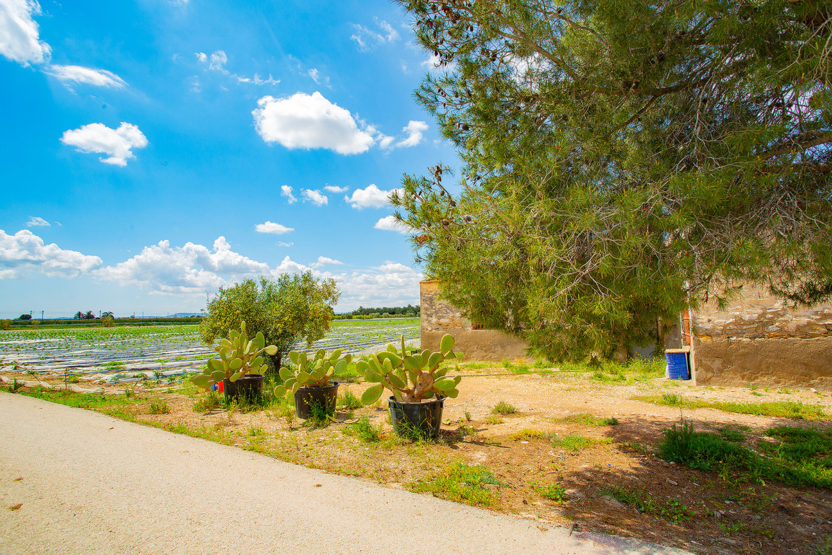 Se vende Finca - Cortijo de 1 dormitorios en Costa Blanca, Alicante, España