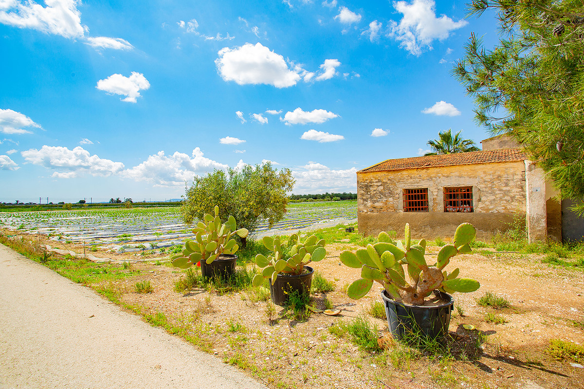 Se vende Finca - Cortijo de 1 dormitorios en Costa Blanca, Alicante, España