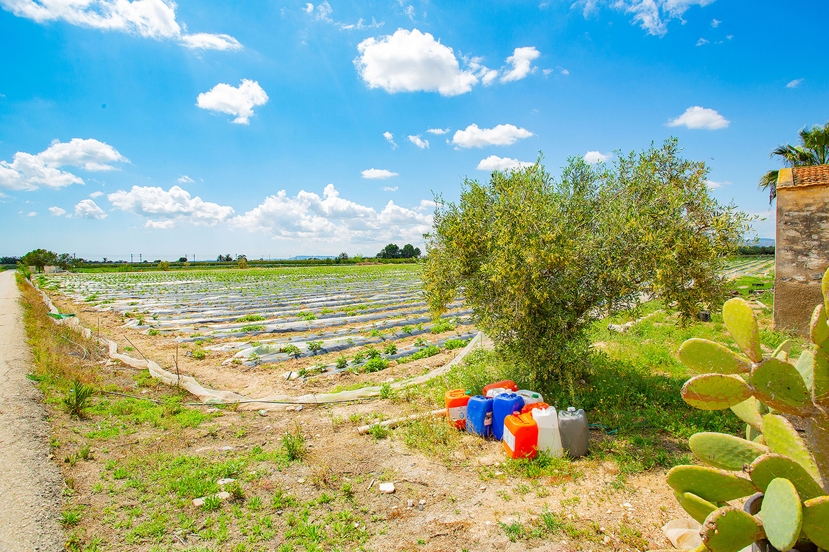 Se vende Finca - Cortijo de 1 dormitorios en Costa Blanca, Alicante, España