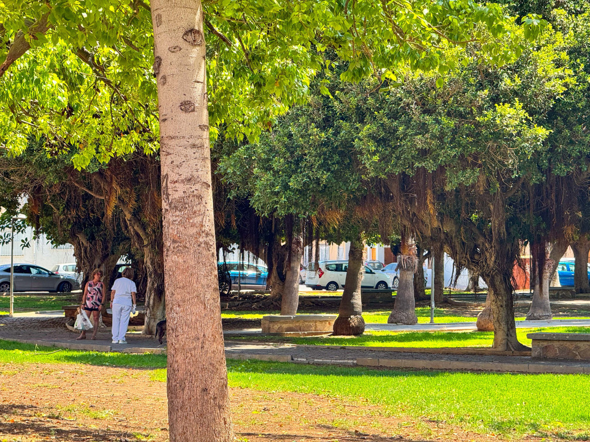 Se vende Apartamento Planta Media de 2 dormitorios en Costa Blanca, Alicante, España