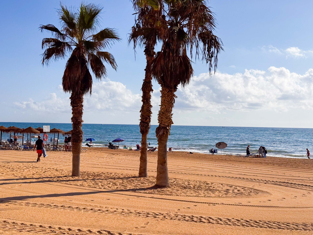 Se vende Apartamento Planta Media de 1 dormitorios en Costa Blanca, Alicante, España
