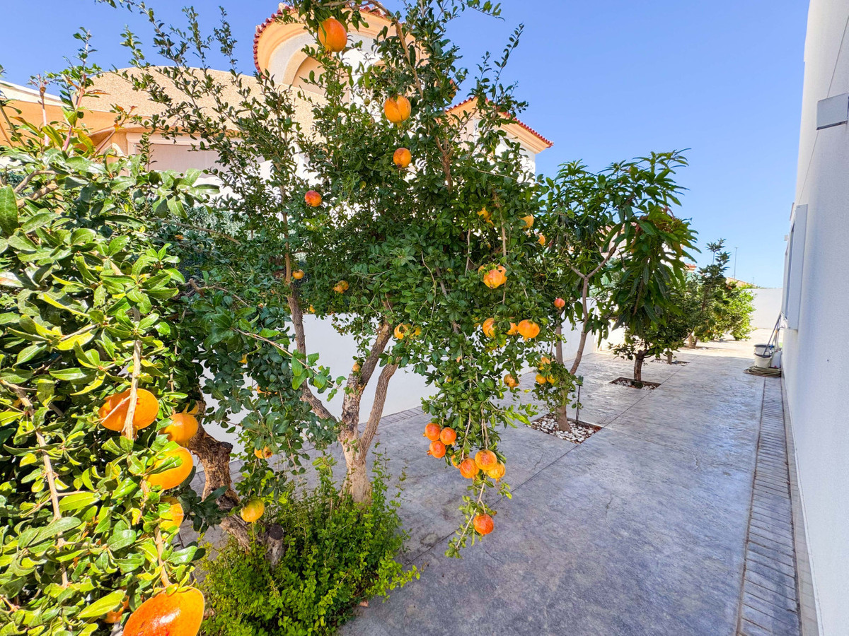 Se vende Villa - Chalet de 6 dormitorios en Costa Blanca, Alicante, España