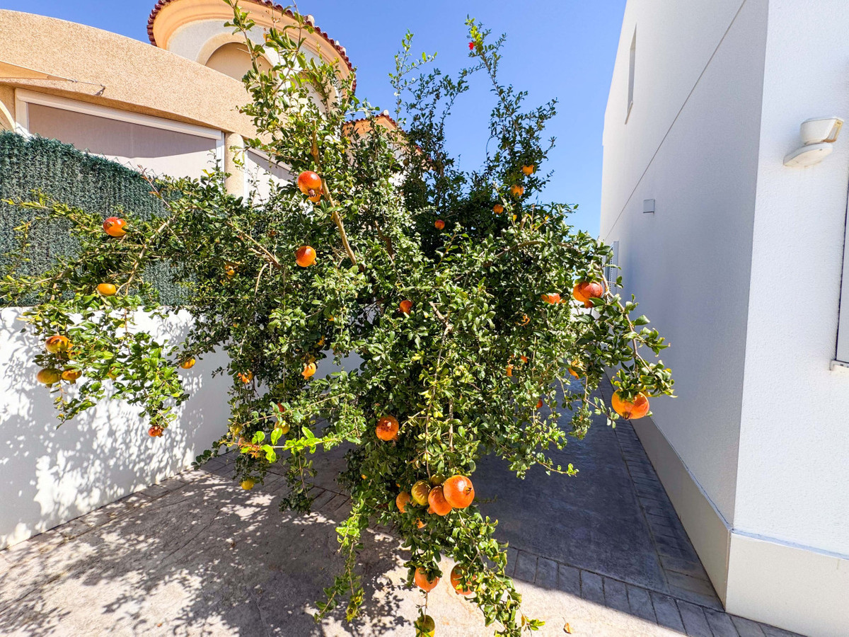 Se vende Villa - Chalet de 6 dormitorios en Costa Blanca, Alicante, España