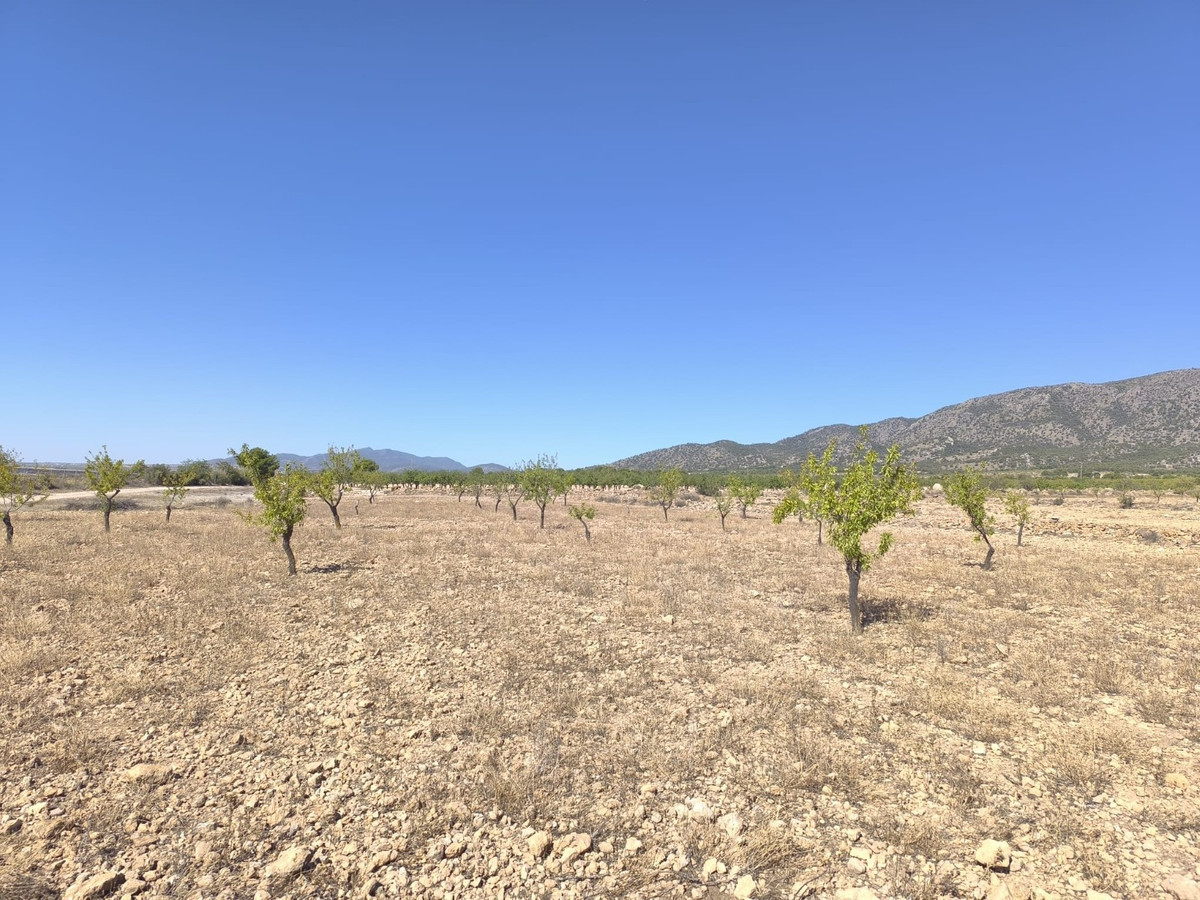 Se vende Terreno Rustico  en Costa Blanca, Alicante, España