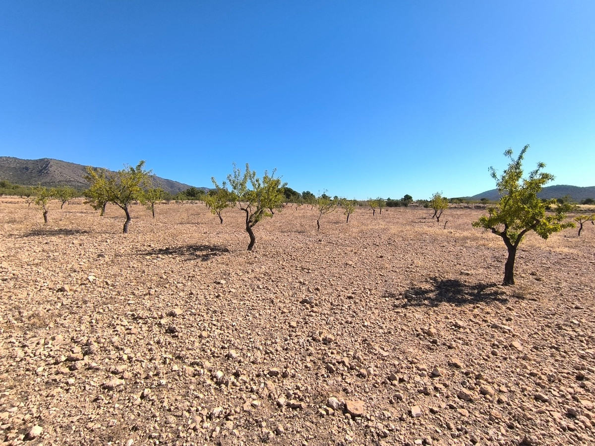 Se vende Terreno Rustico  en Costa Blanca, Alicante, España