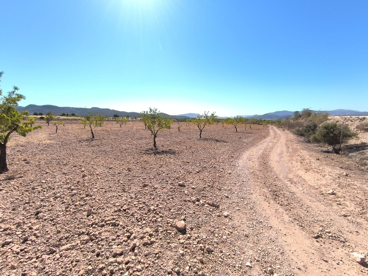 Se vende Terreno Rustico  en Costa Blanca, Alicante, España