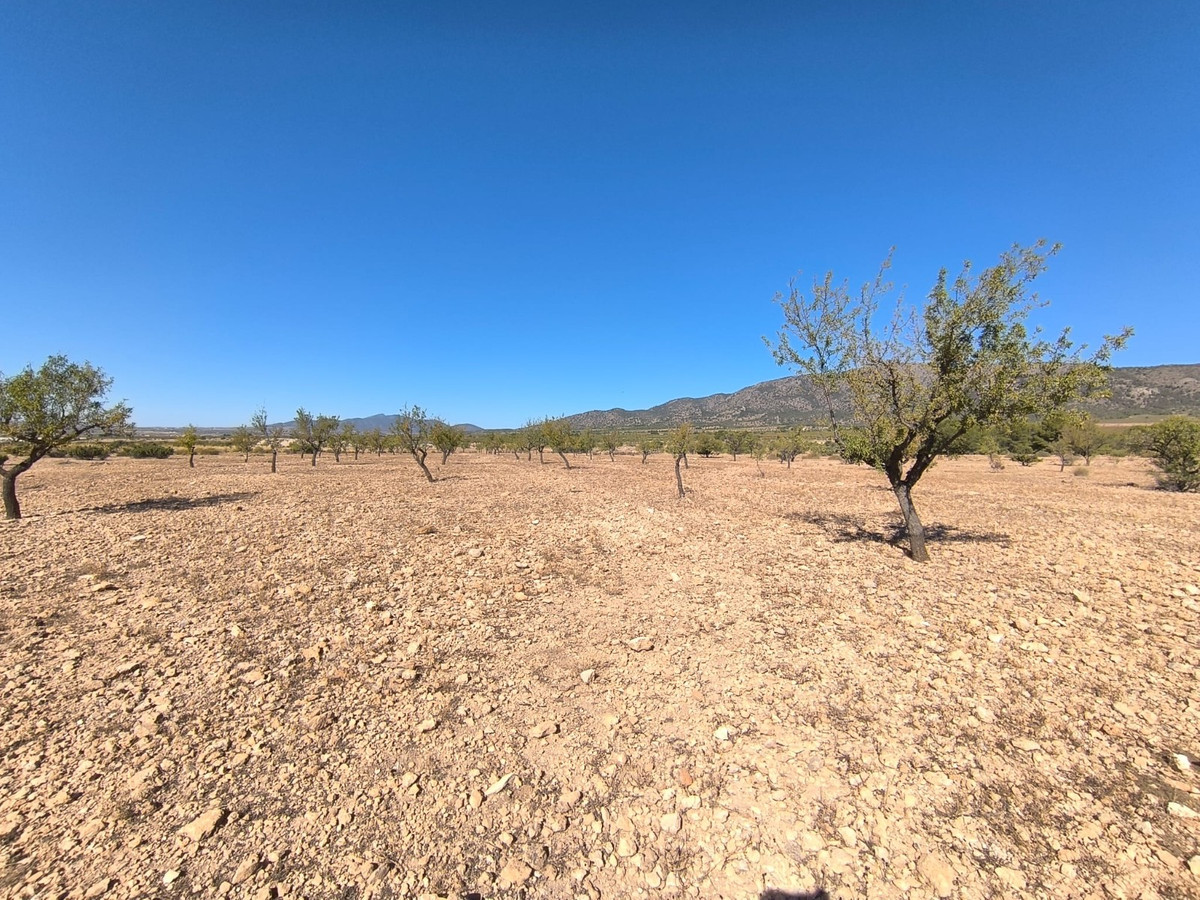 Se vende Terreno Rustico  en Costa Blanca, Alicante, España