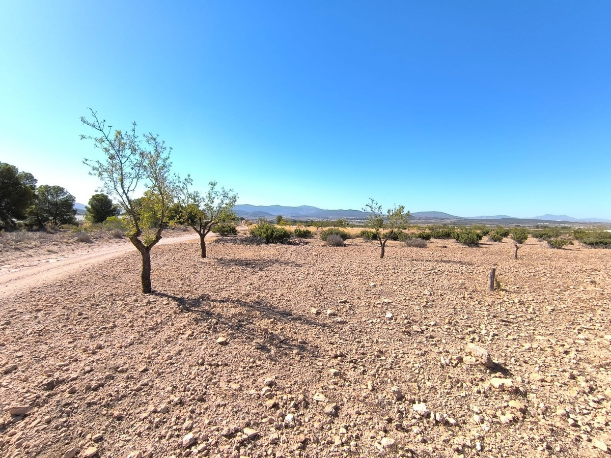 Se vende Terreno Rustico  en Costa Blanca, Alicante, España