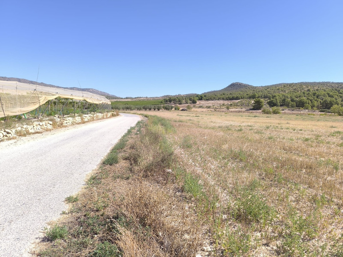 Se vende Terreno Rustico  en Costa Blanca, Alicante, España