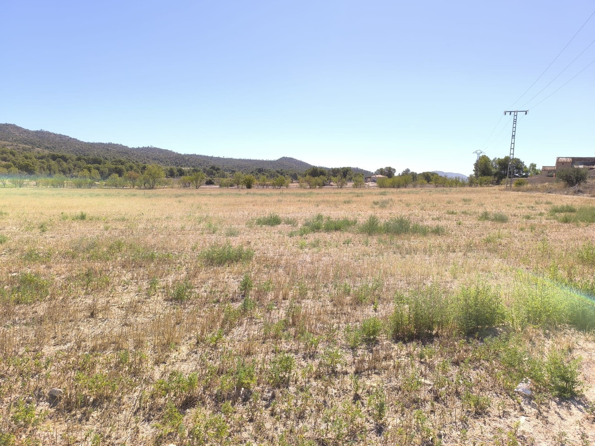 Se vende Terreno Rustico  en Costa Blanca, Alicante, España