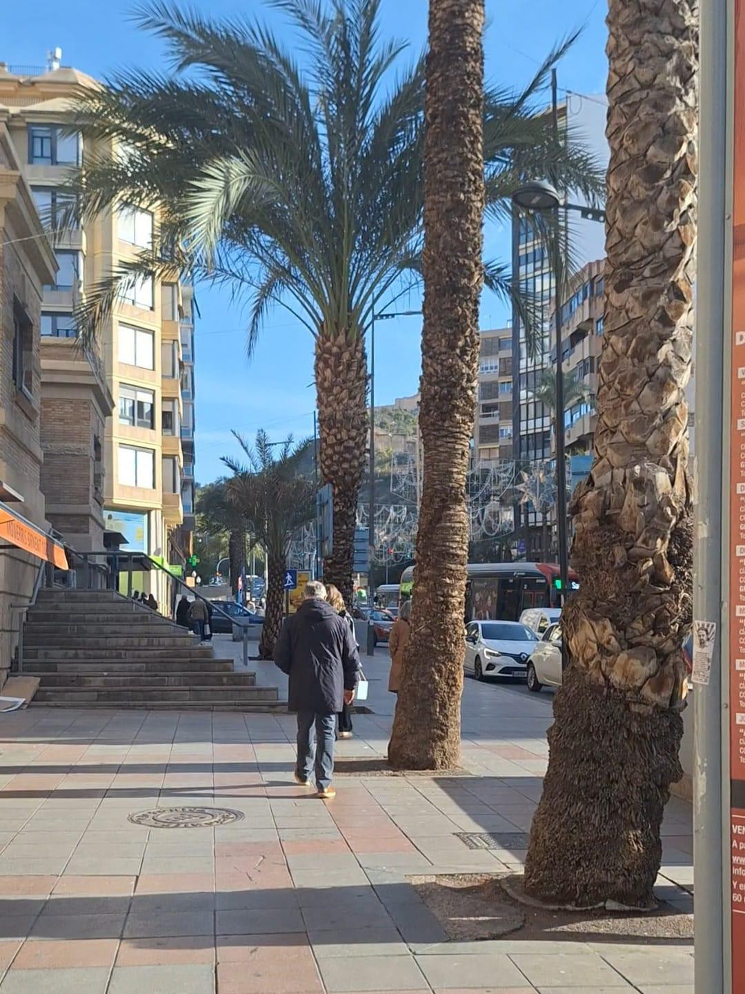 Se vende Negocio de 1 dormitorios en Costa Blanca, Alicante, España