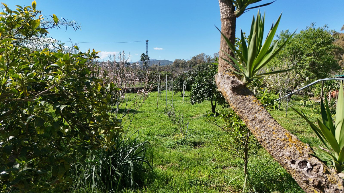 Se vende Pareada de 5 dormitorios en Costa Del Sol, Málaga, España