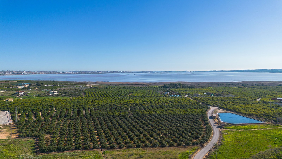 Se vende Apartamento Planta Baja de 3 dormitorios en Costa Blanca, Alicante, España