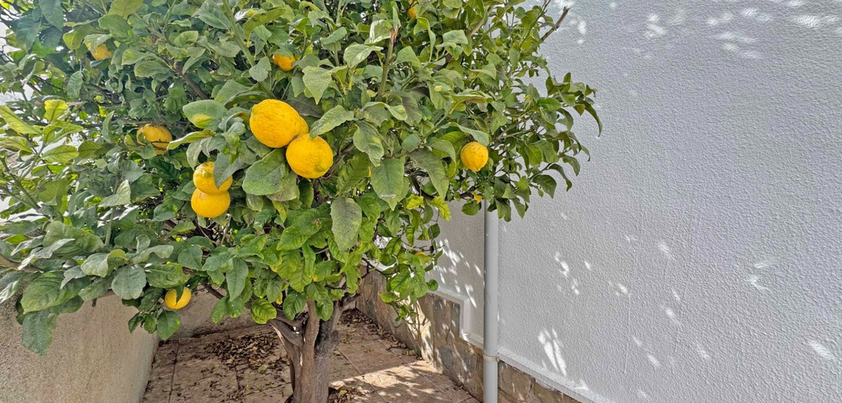 Se vende Pareada de 2 dormitorios en Costa Blanca, Alicante, España