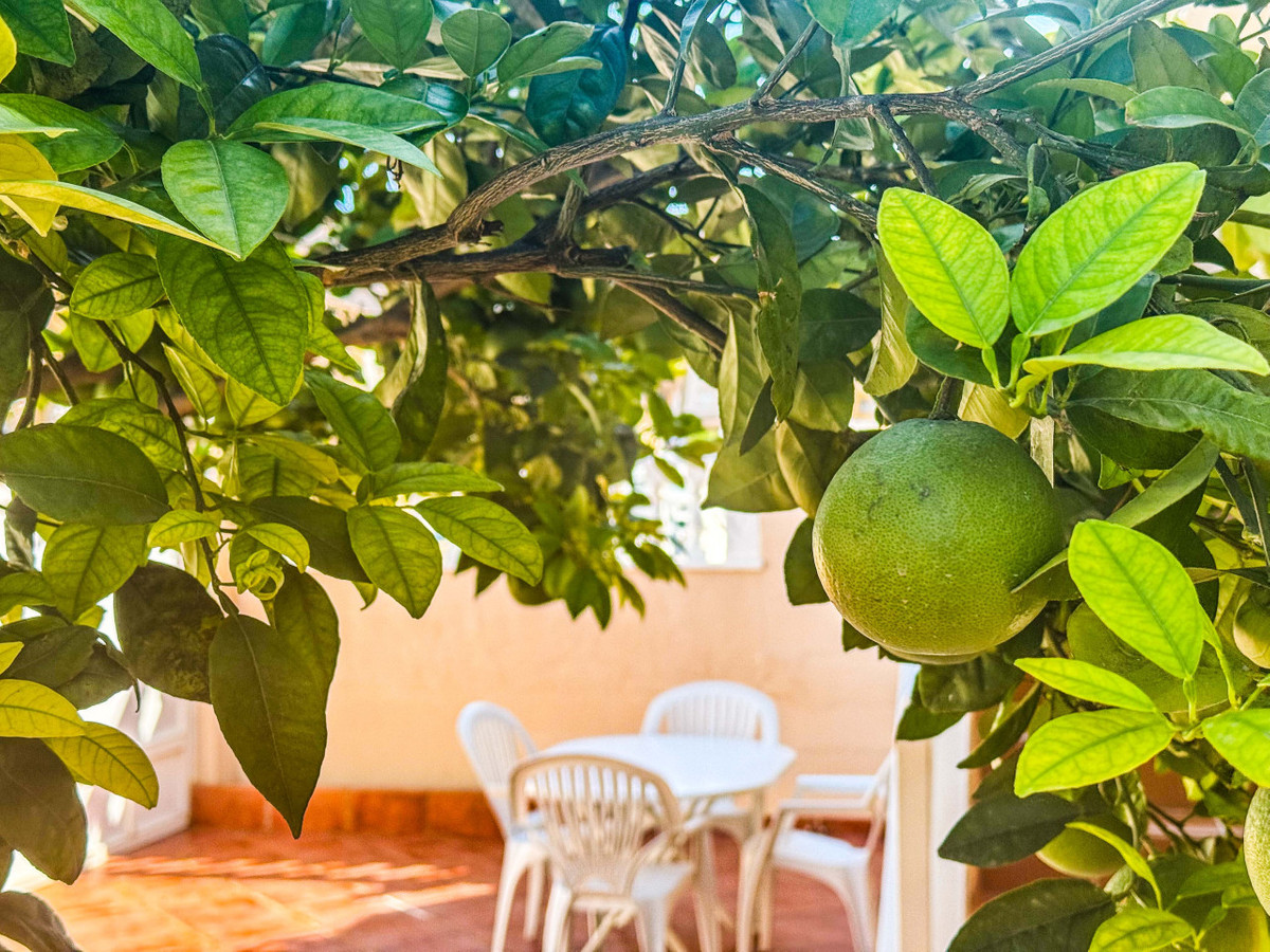 Se vende Bungalow de 2 dormitorios en Costa Blanca, Alicante, España