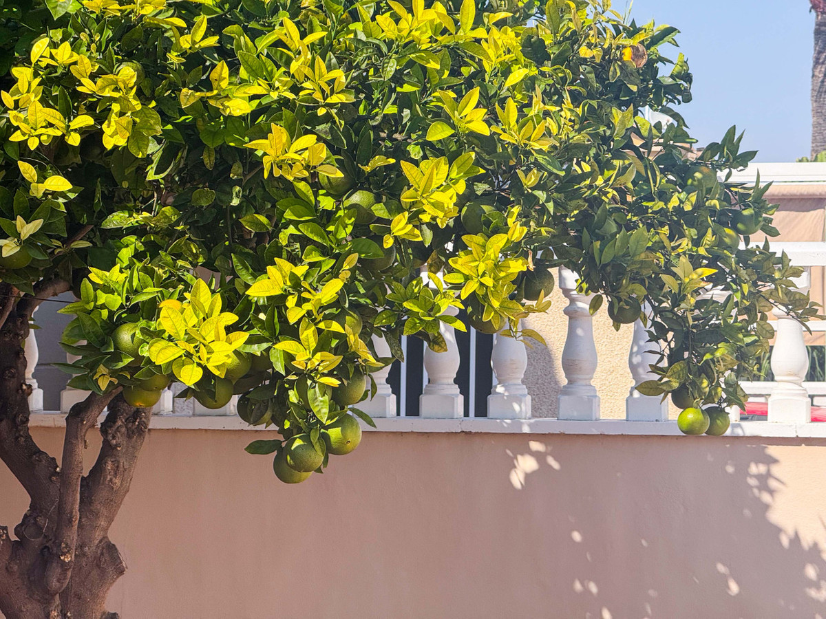 Se vende Bungalow de 2 dormitorios en Costa Blanca, Alicante, España