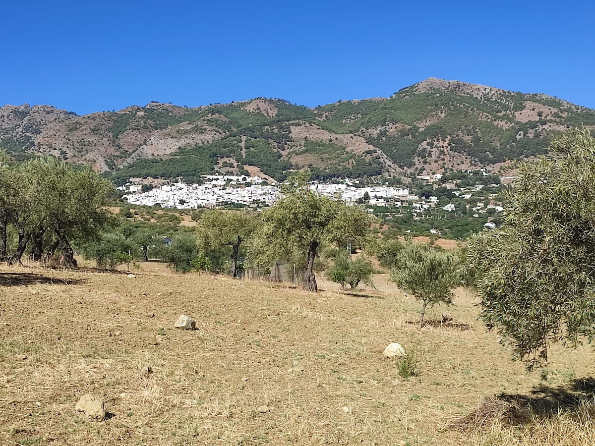 Se vende Terreno Rustico  en Costa Del Sol, Málaga, España