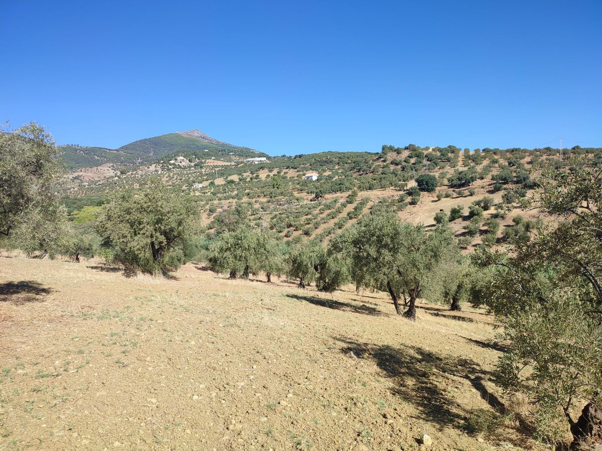 Se vende Terreno Rustico  en Costa Del Sol, Málaga, España