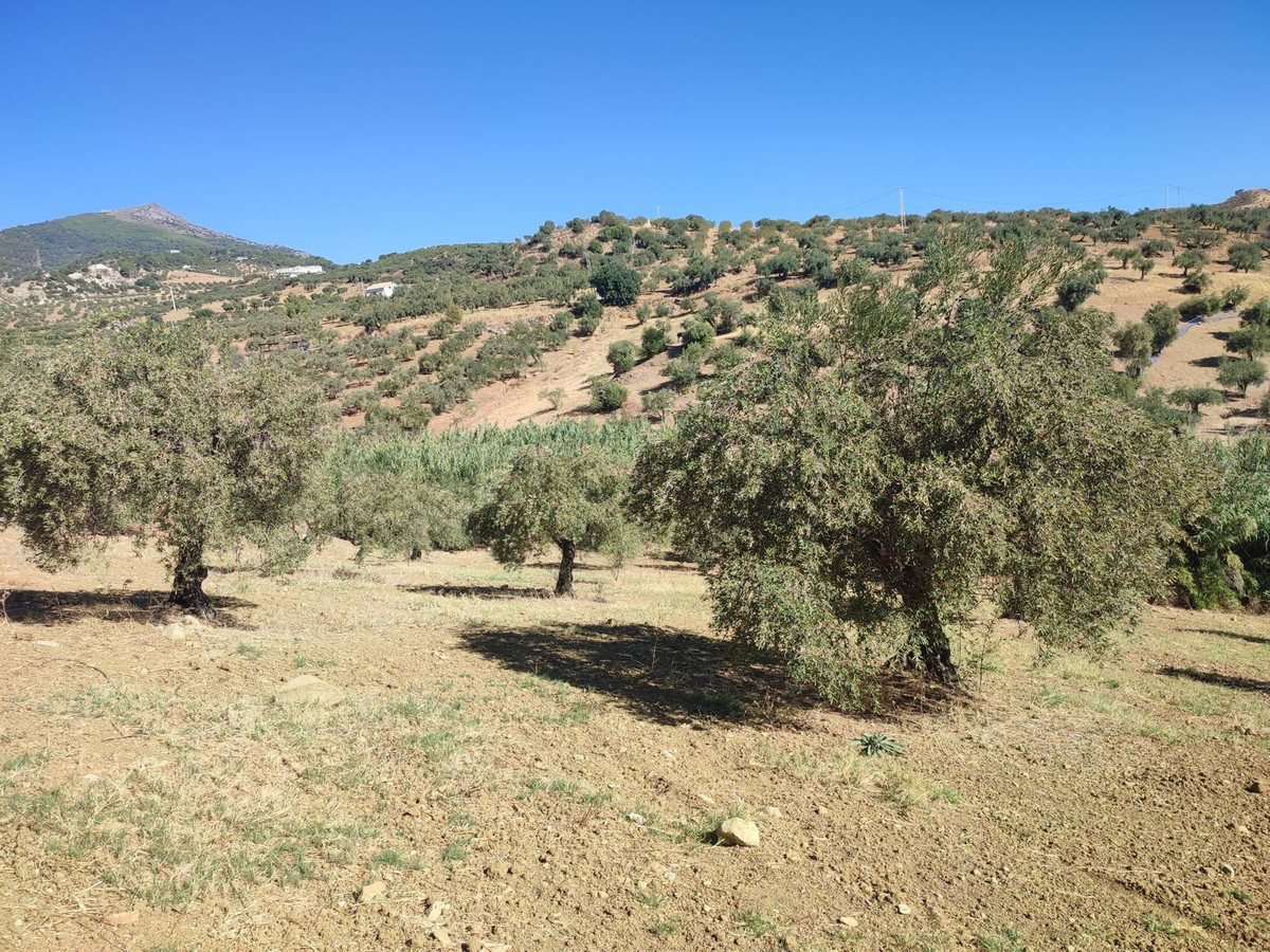 Se vende Terreno Rustico  en Costa Del Sol, Málaga, España