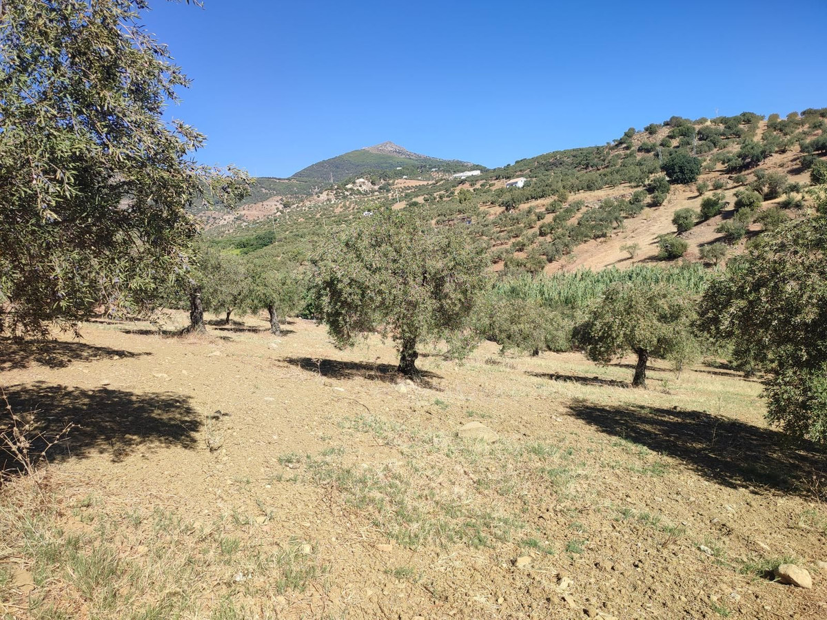 Se vende Terreno Rustico  en Costa Del Sol, Málaga, España