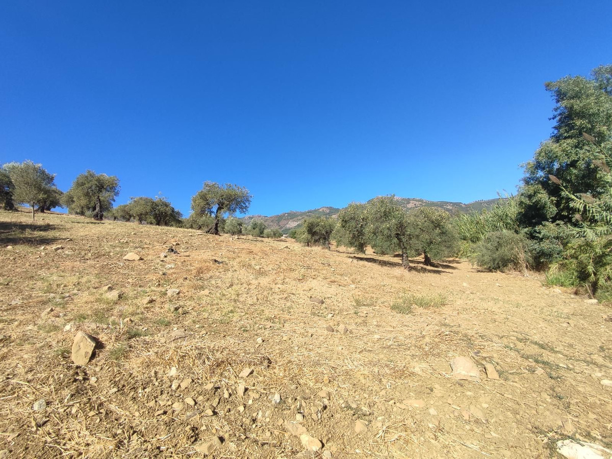 Se vende Terreno Rustico  en Costa Del Sol, Málaga, España